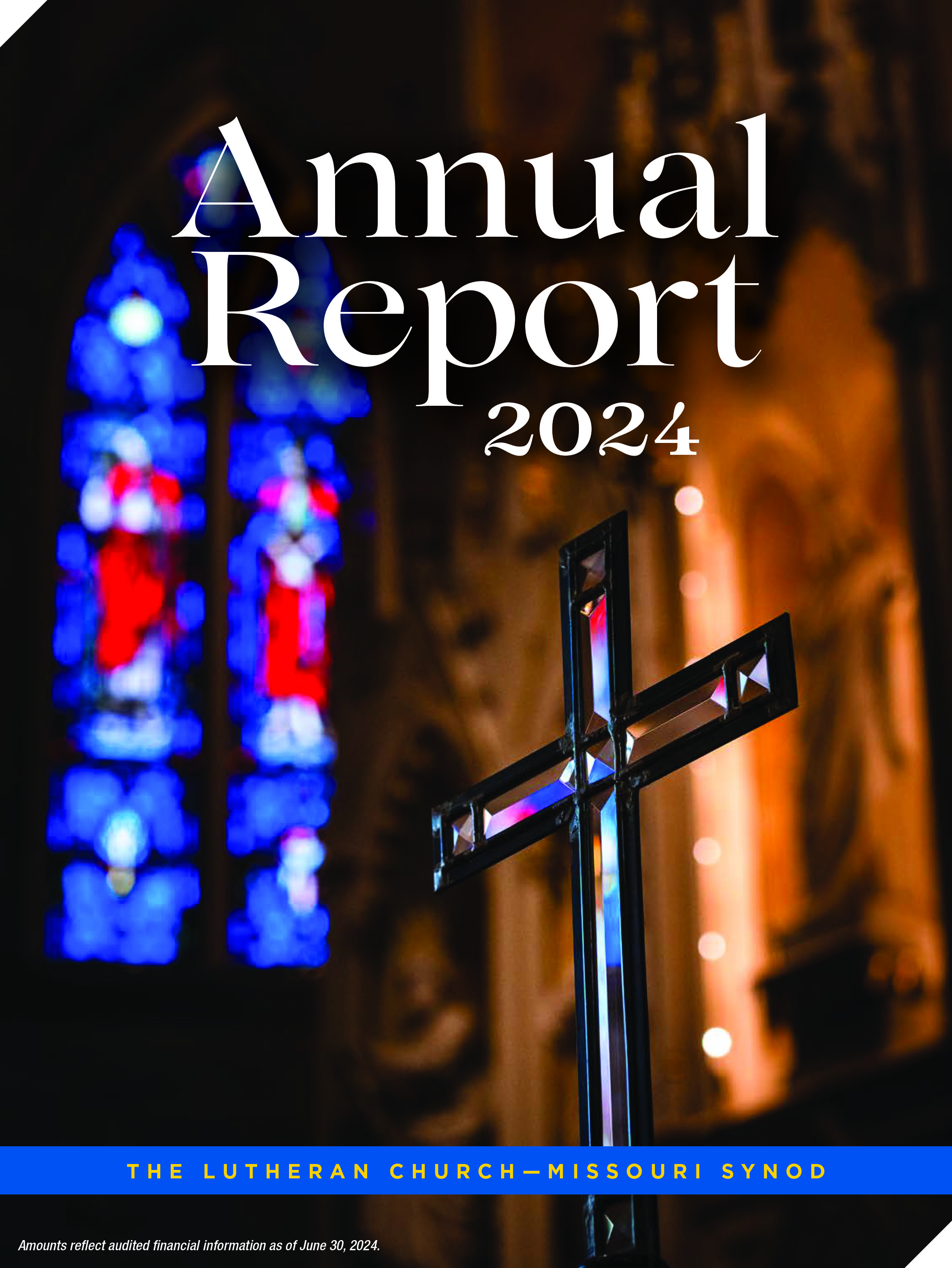 LCMS Annual Report